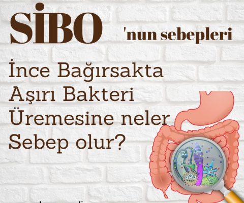 SİBO Nedenleri